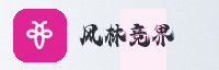 合作伙伴